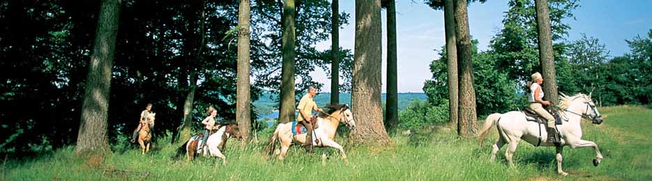 Randonne questre sur le Plateau de Millevaches (photo Jol Tribhout - ADT Corrze)