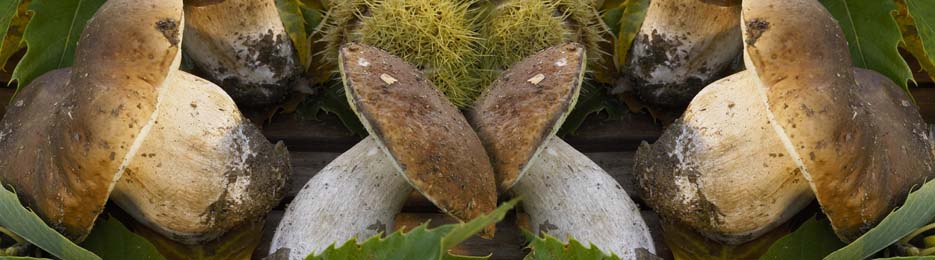 Cpes (photo Jean-Patrick Gratien - ADT Corrze)